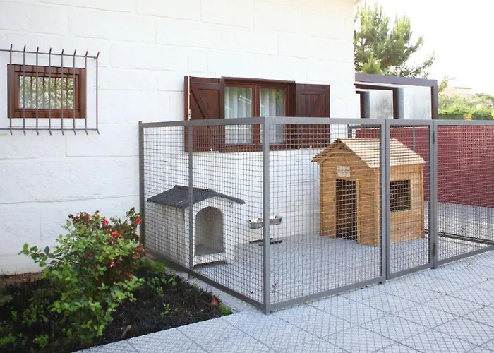 Woof & Sun * إسموريز