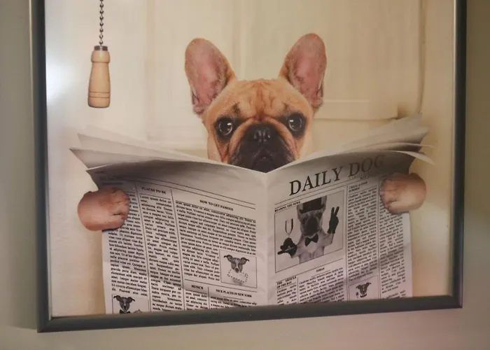 بيت للعطل Woof & Sun *