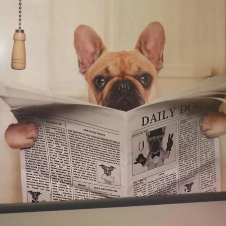 Casa de Férias Woof & Sun *